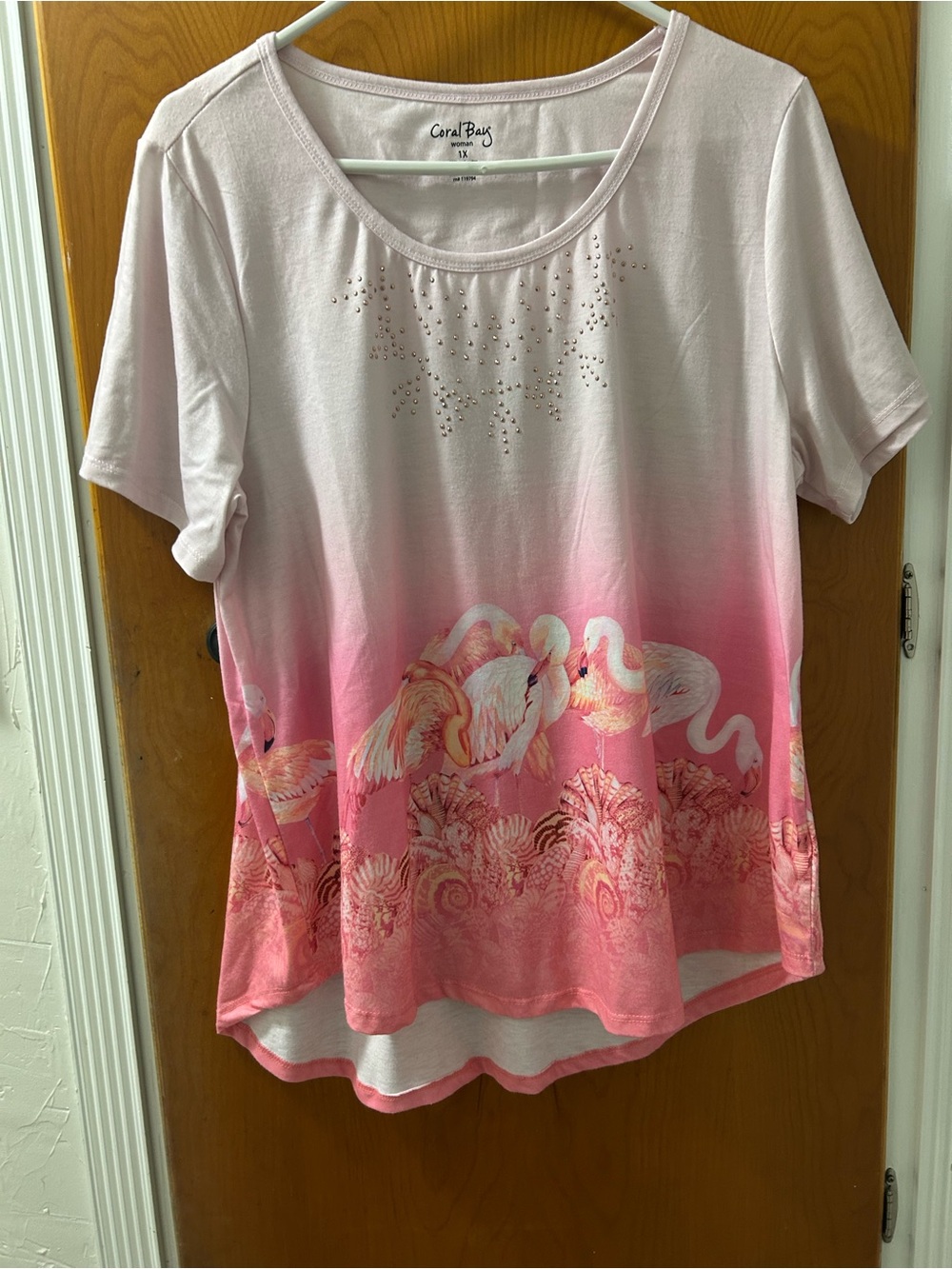 Coral Bay Pink Ombre Flamingo Short Sleeve Top